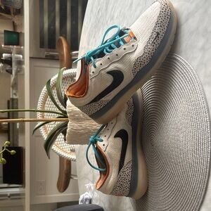 Nike SB Zoom Sneakers with Teal Laces